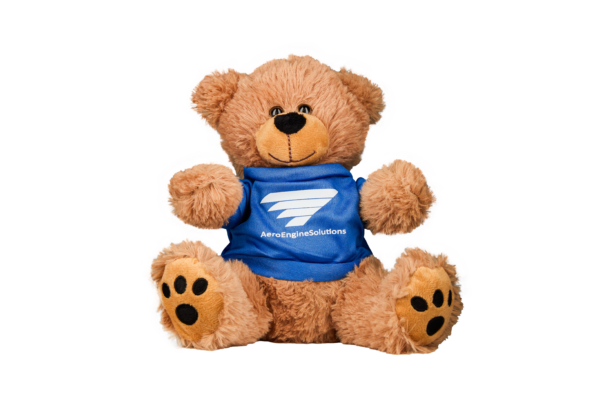 AES Teddy Bear