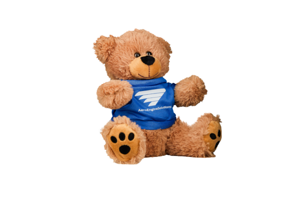 AES Teddy Bear - Image 3