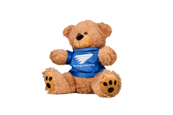 AES Teddy Bear - Image 2