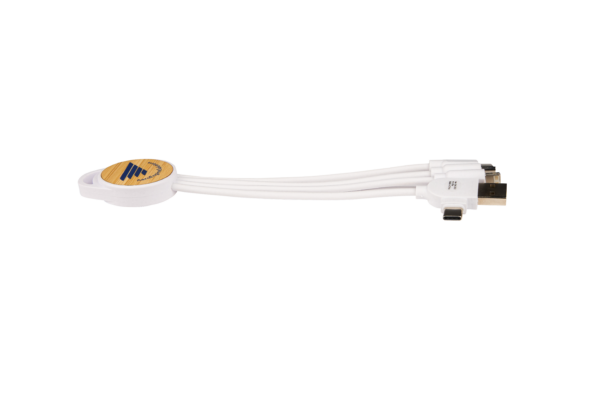 AES Multi-way Charger - Image 3